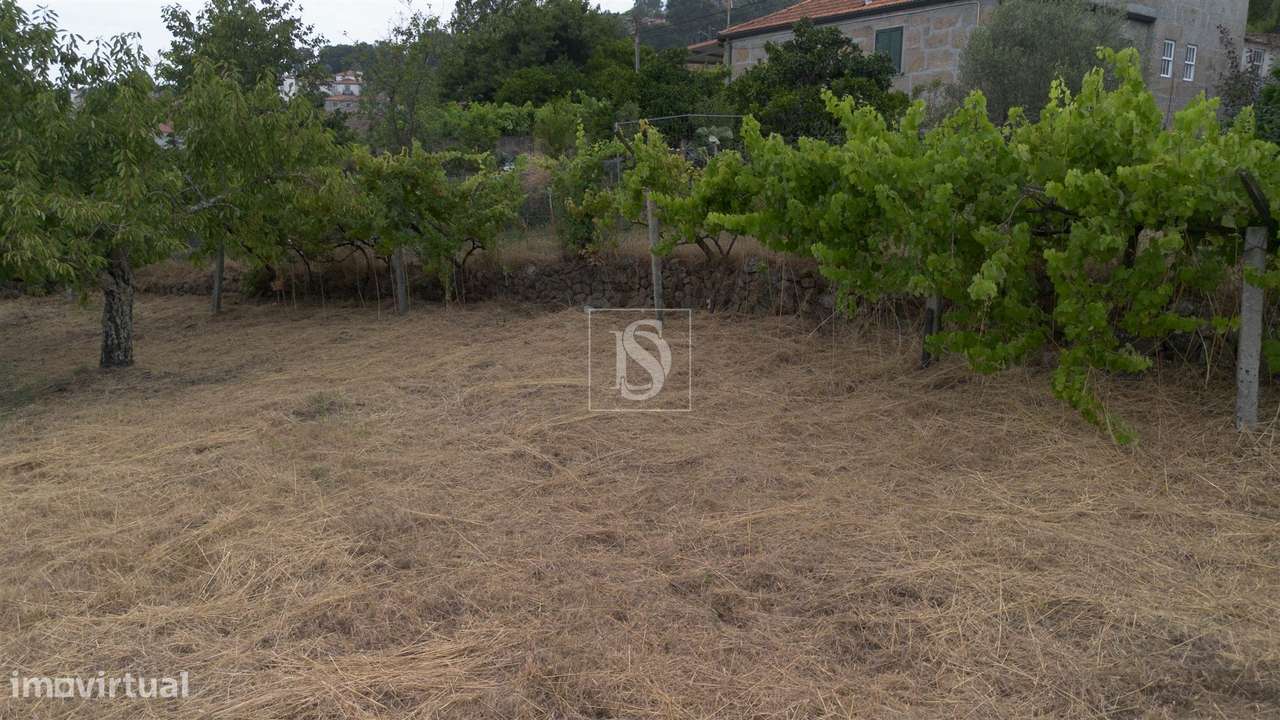Terreno Para Construção  Venda em Ancede e Ribadouro,Baião-21