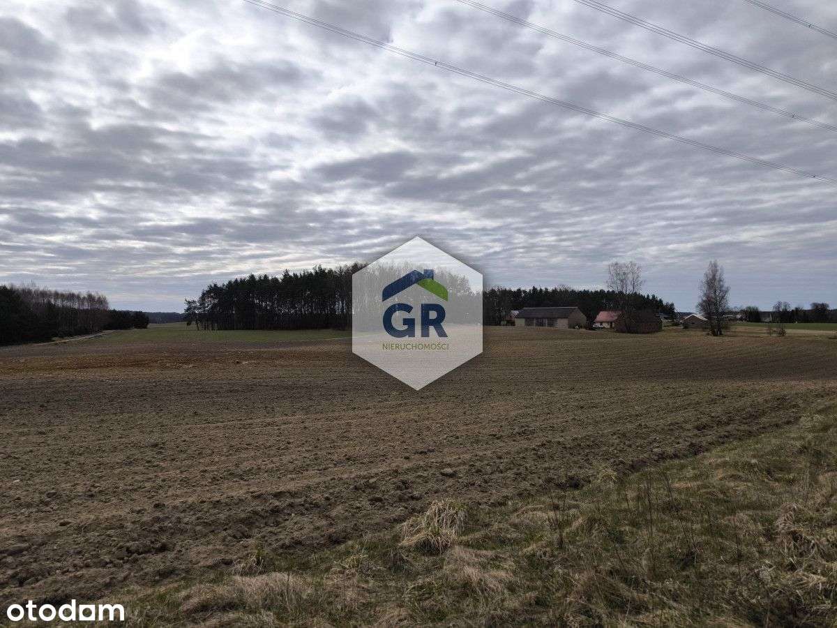 Grunt rolny na sprzedaż/Skorzewo/Kaszuby - Pełny obrazek: 5/10