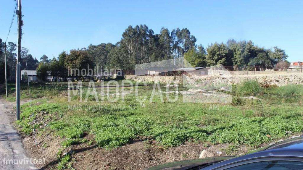 Terreno para construção de moradias em Banda ou separadas (Perosinho) - Grande imagem: 2/2