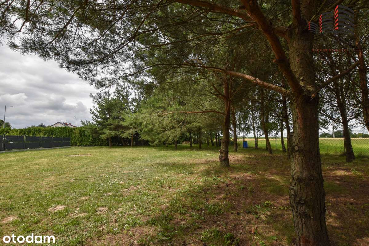 Śliczna działka budowlana - Piotrkówek - Pełny obrazek: 3/11