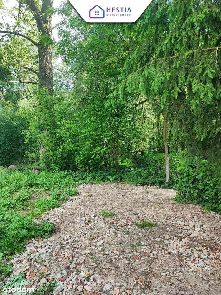 Działki z zejściem do rzeki - Pełny obrazek: 5/7