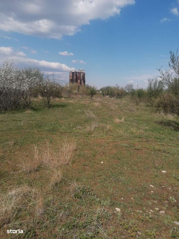 Vanzare teren 47.035mp - Comuna Plesoiu, Sat Arcesti-1