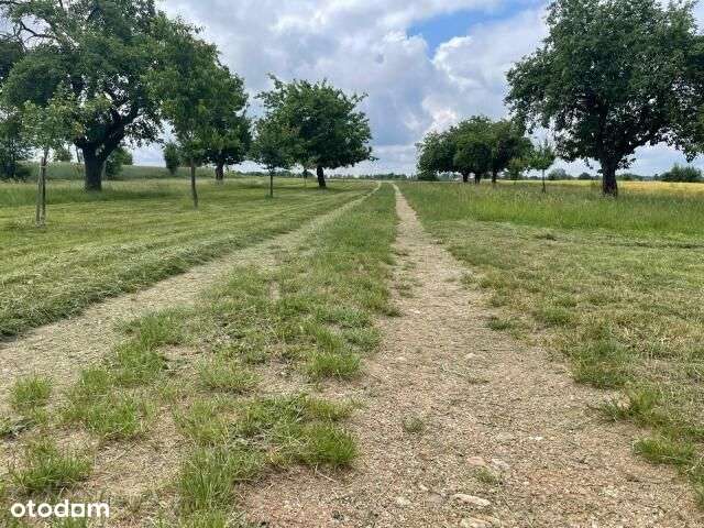 Uwaga 13,8 ha w jednym kawałku-7