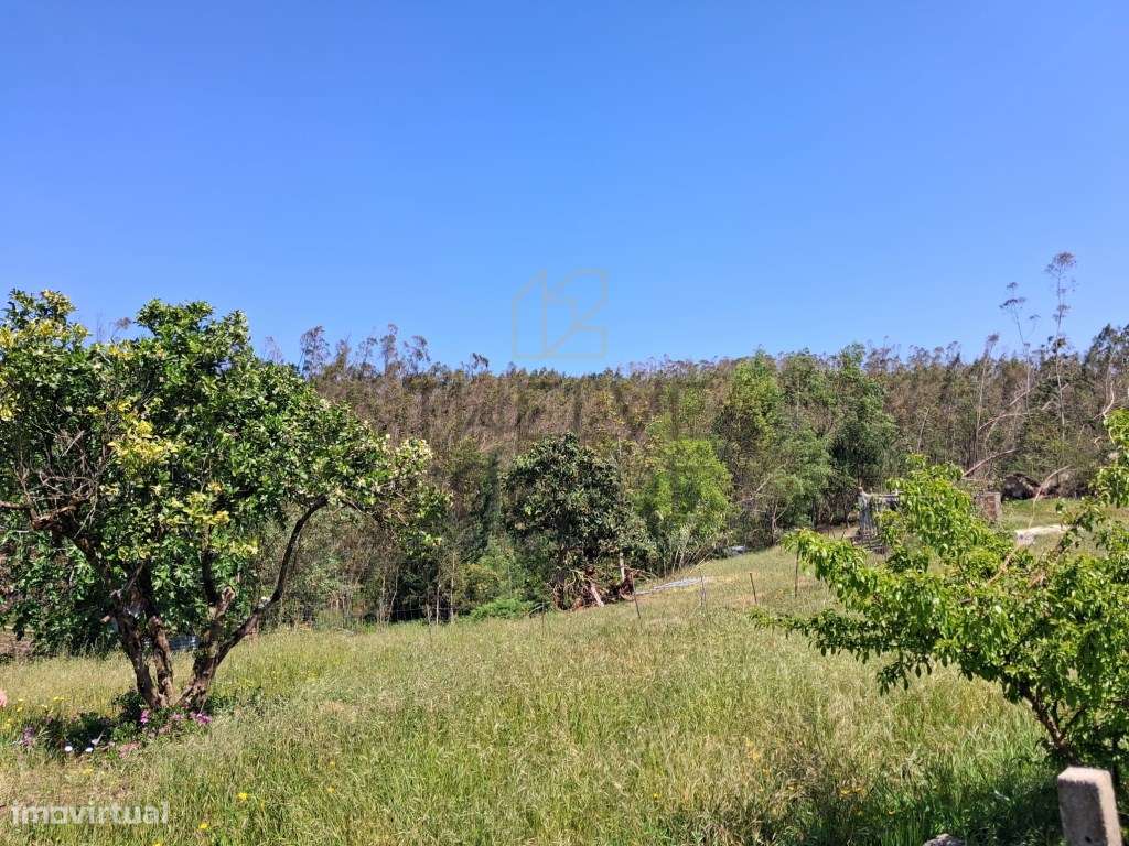 Moradias antigas área const. 382, terreno 7700m2 Potencial de Renta...-9