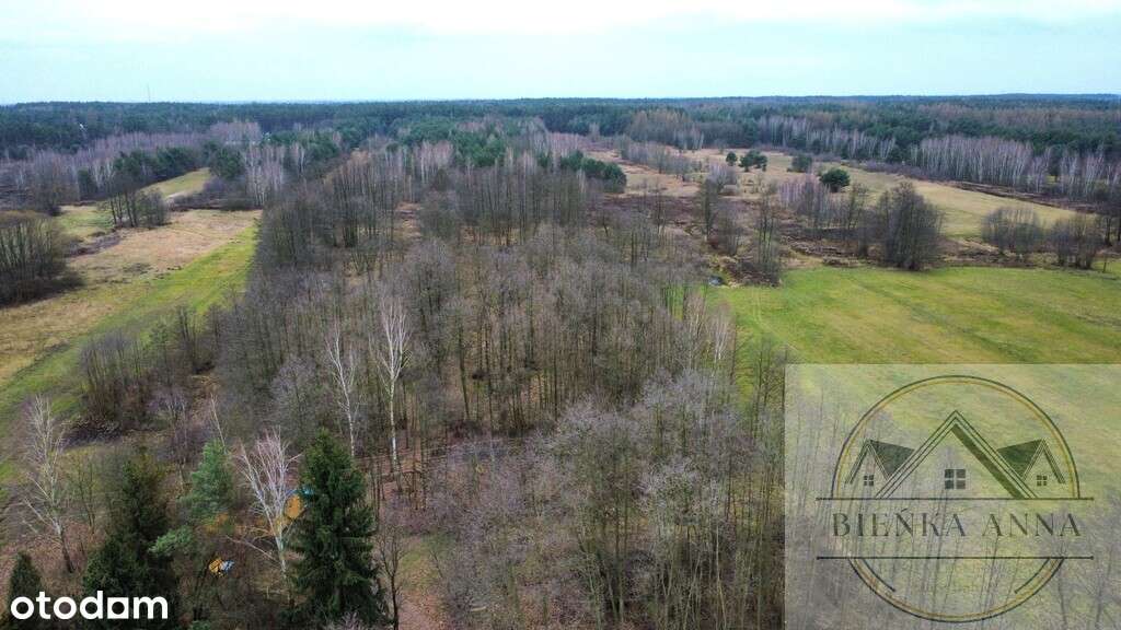 Działka na sprzedaż Mariew Stare Babice blisko las - Pełny obrazek: 2/7