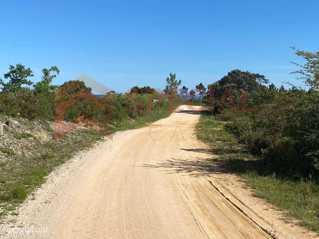 Terreno para Construção em Tomar - Grande imagem: 3/7