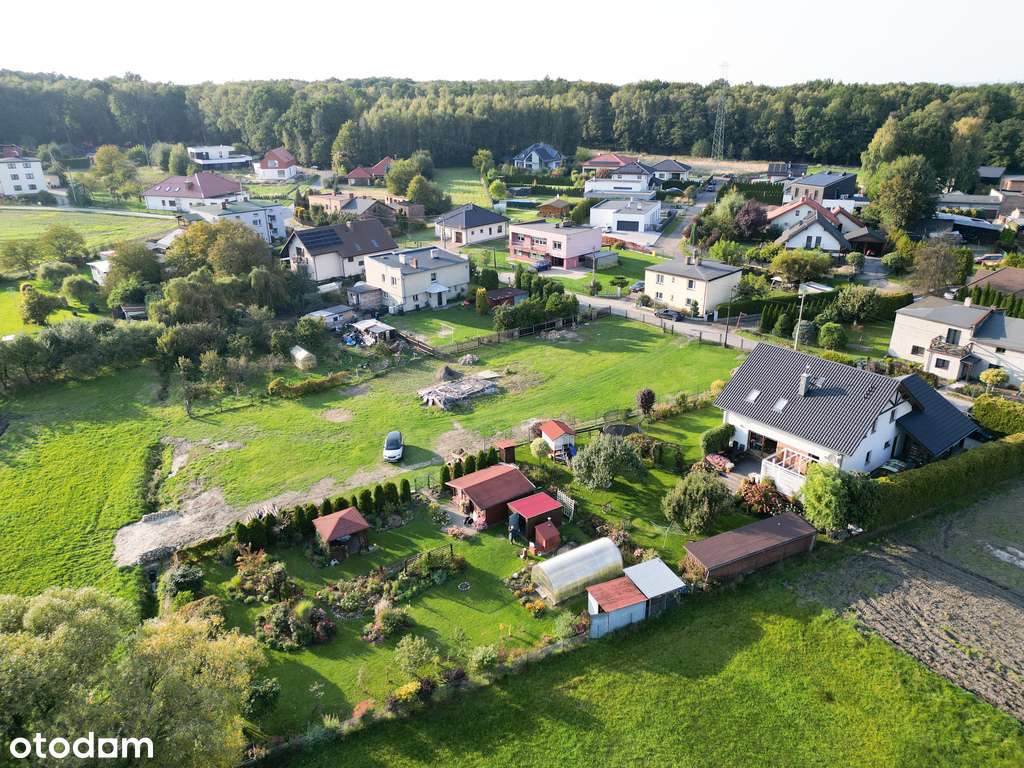 3352/2658/OGS - Pełny obrazek: 3/6