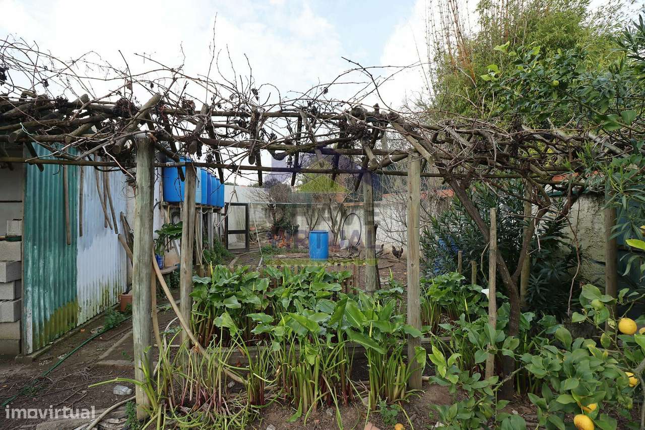 Excelente Moradia V3 Carvalhal-42