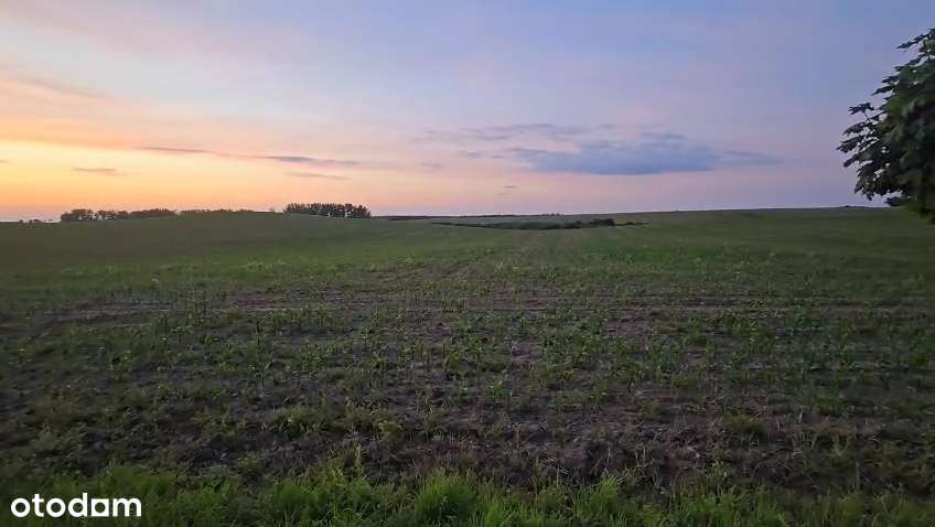 1z 2 domów jednorodzinnych90 m2 w Dolsku, pełne media, działka 1000m2-16