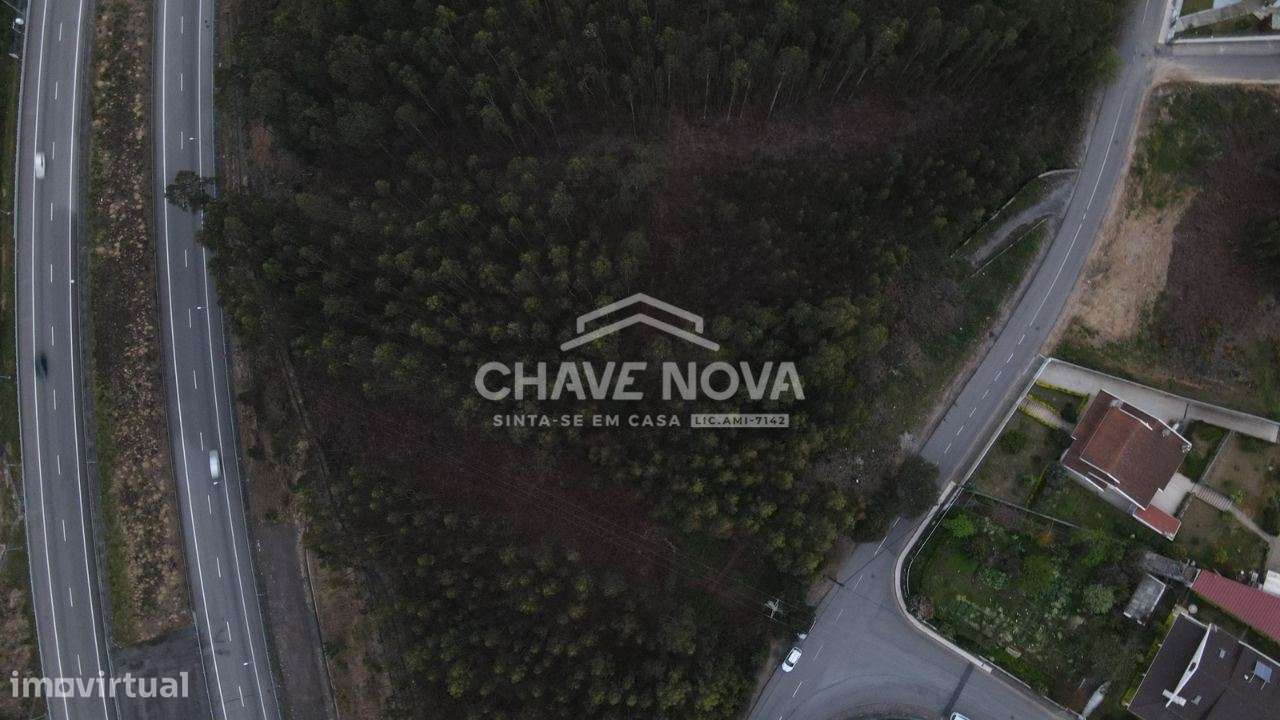 Terreno Rústico em Sandim, Vila Nova de Gaia - Grande imagem: 5/5