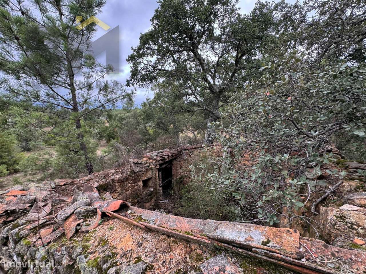 Quinta  Venda em Freixial e Juncal do Campo,Castelo Branco - Grande imagem: 4/16