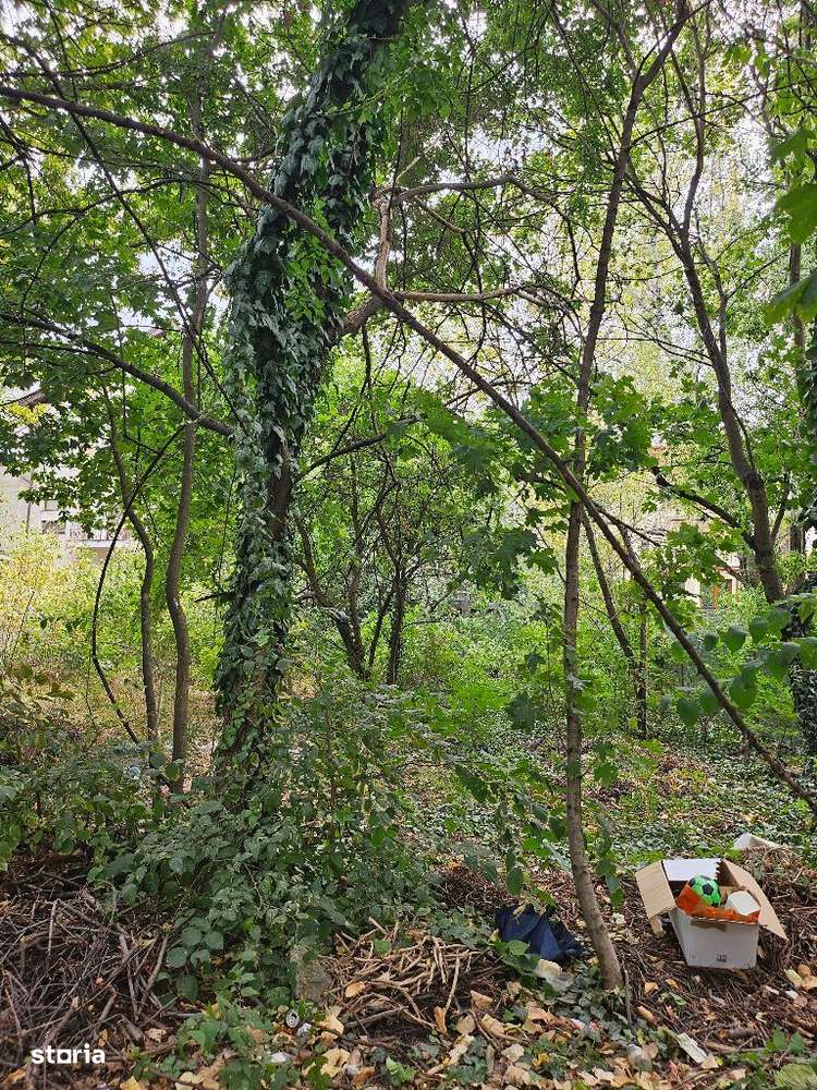 Titan Policlinica - Aleea Calistrat Hogas, zona rezidentiala-3