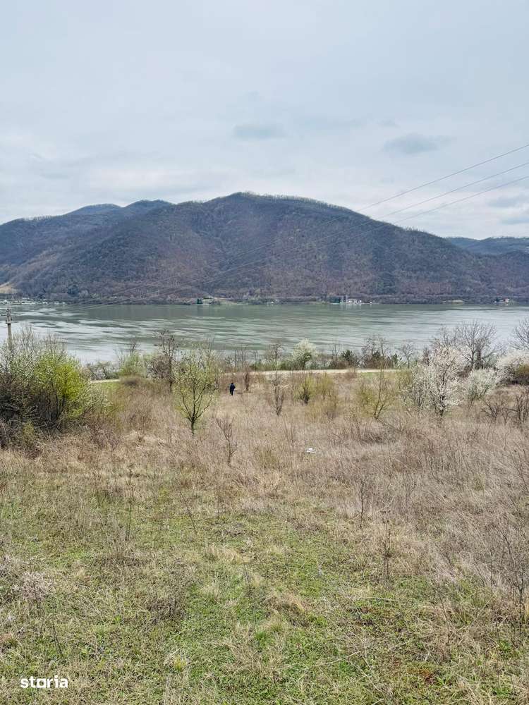 AV644 Teren intravilan, BERZASCA-DUNARE, 6042mp - Imagine principală: 2/9