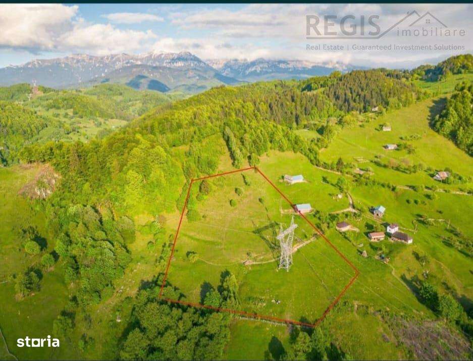 Teren, Zona de Interes Turistic-Cheile Gradistei,  8800mp - Imagine principală: 2/9