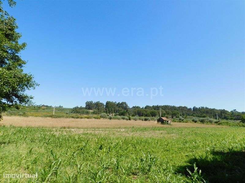 Terreno com ruina / Seia, Pinhanços - Grande imagem: 5/16