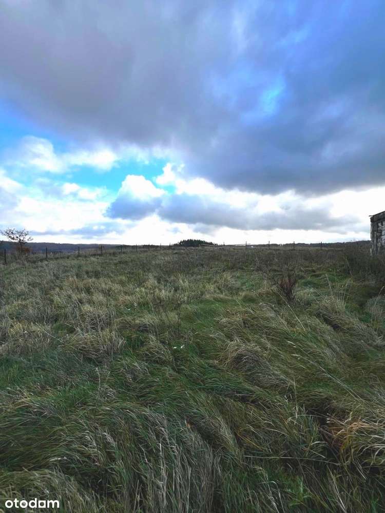 Budowlana działka w malowniczym Lisewie.-6