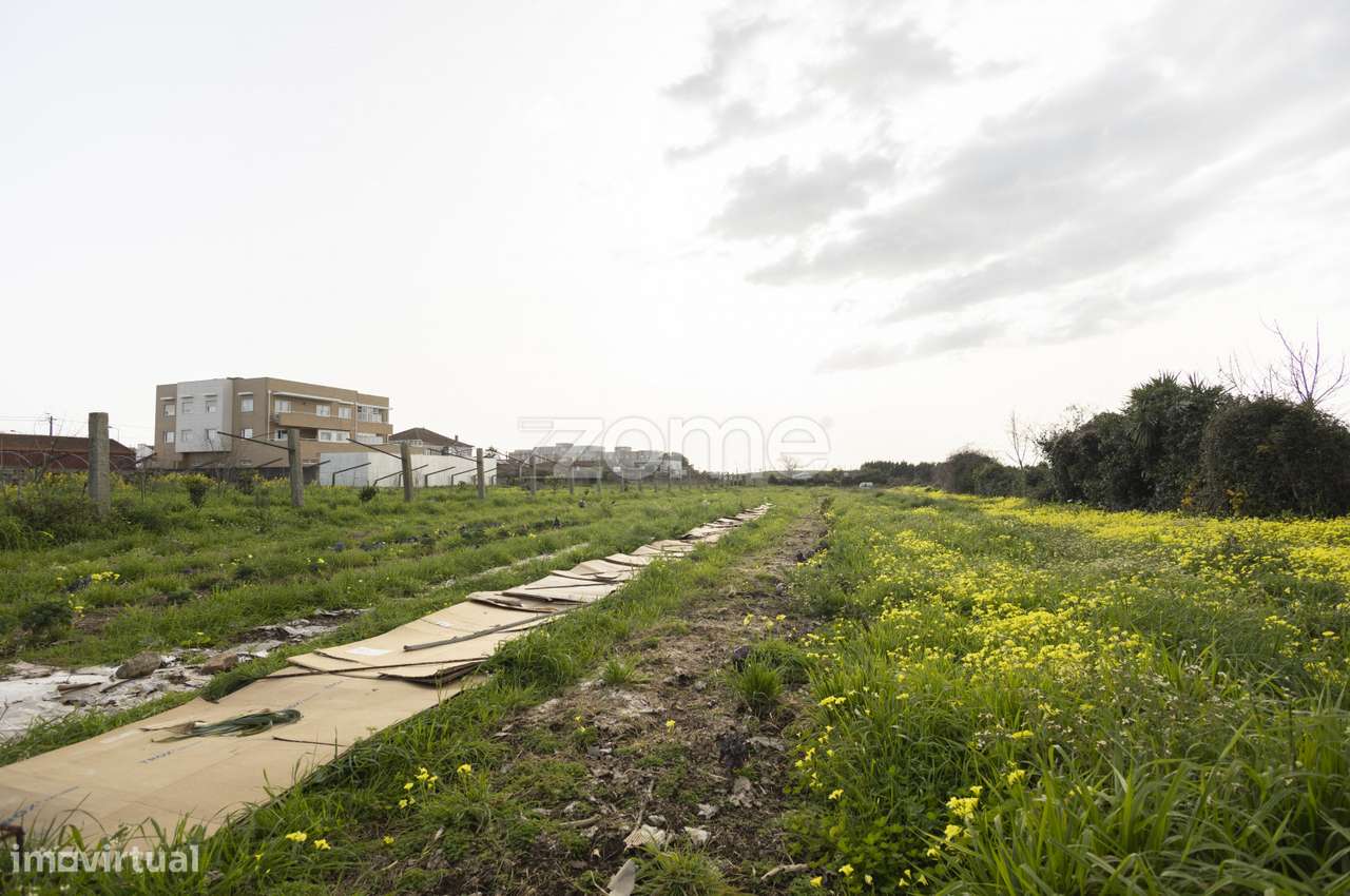 Terreno misto com projeto para habitação e agro-turismo - Grande imagem: 4/17