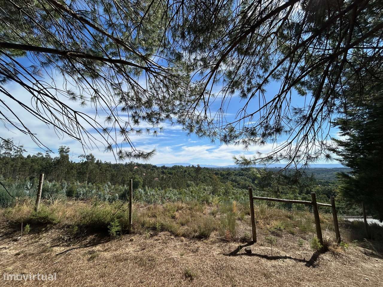 Quinta T6, Viseu, Santa Comba Dão, Santa Comba Dão e Couto do Mosteiro-51