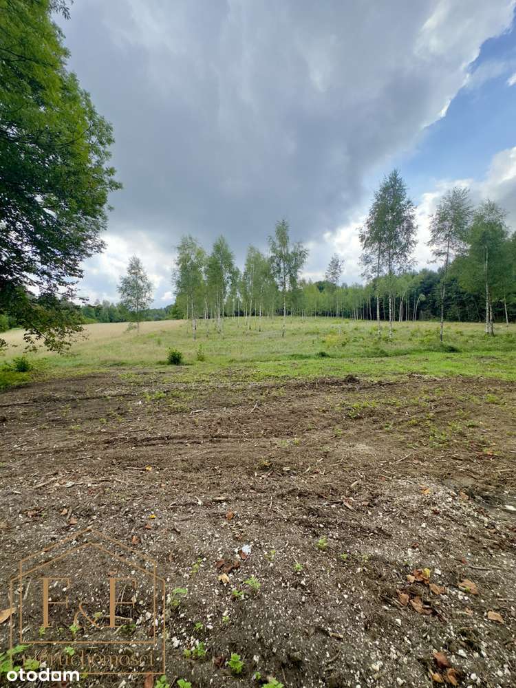 ** Działka pod zabudowę w samym sercu lasu **-2