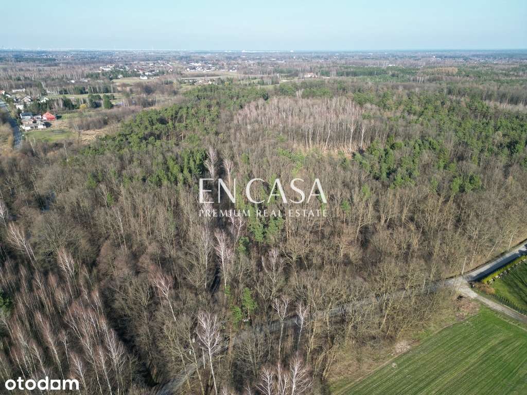 Działka pod zabudowę jednorodzinną i usługową - Pełny obrazek: 5/6