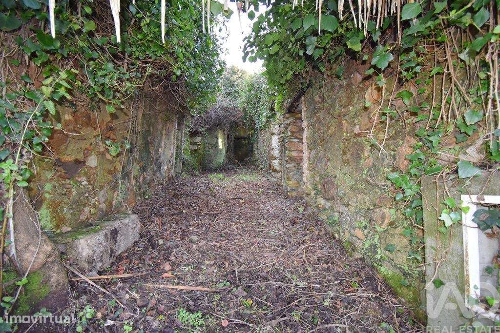 Casa / Villa em São Miguel, Santa Eufémia e Rabaçal de 300 m2 - Grande imagem: 5/33