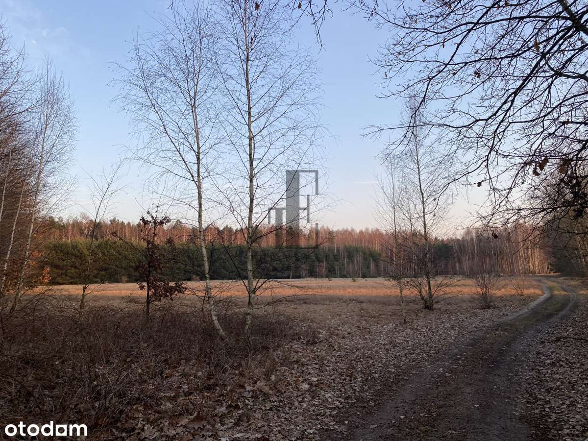 Działka rolna | Budy Augustowskie | 1,8 Ha - Pełny obrazek: 5/8