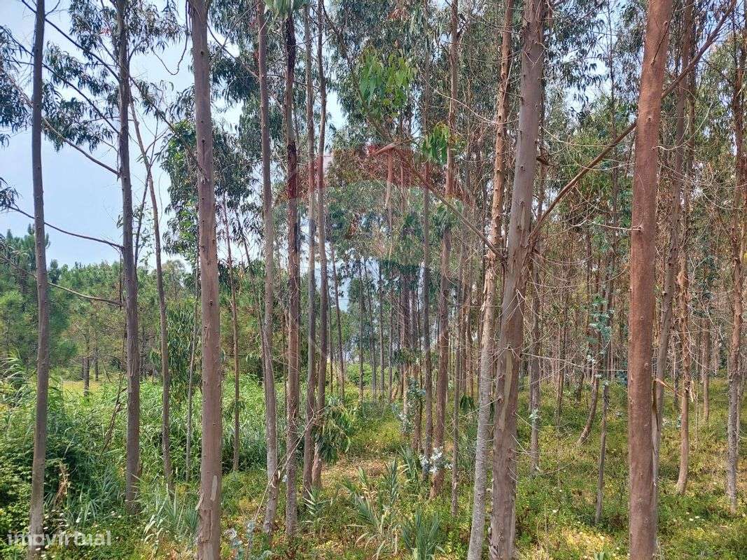 Terreno  para venda - Grande imagem: 3/9