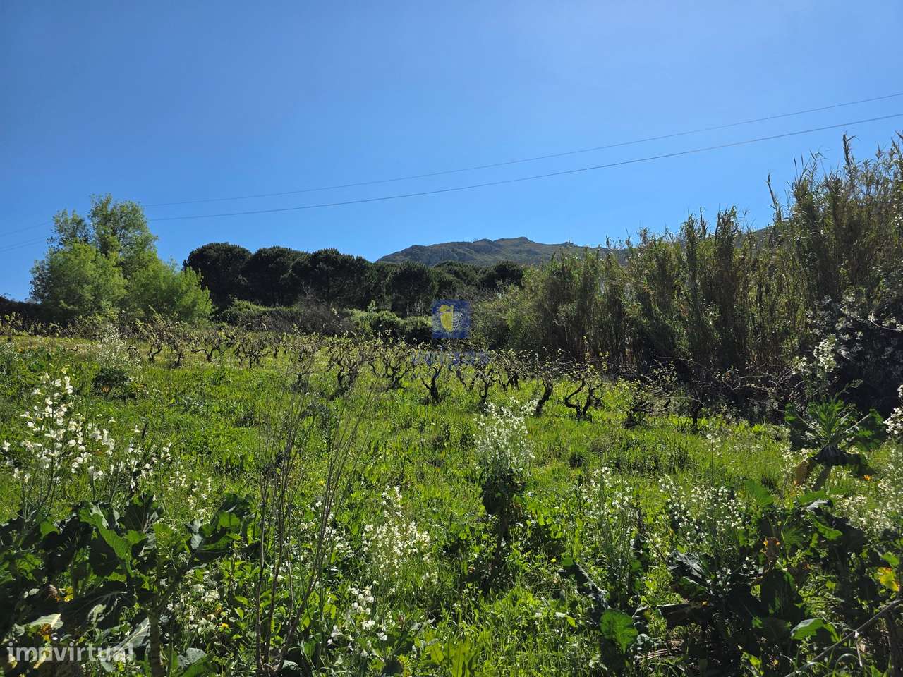 Terreno com 2.200m2, com viabilidade para construir 1806m2.-5