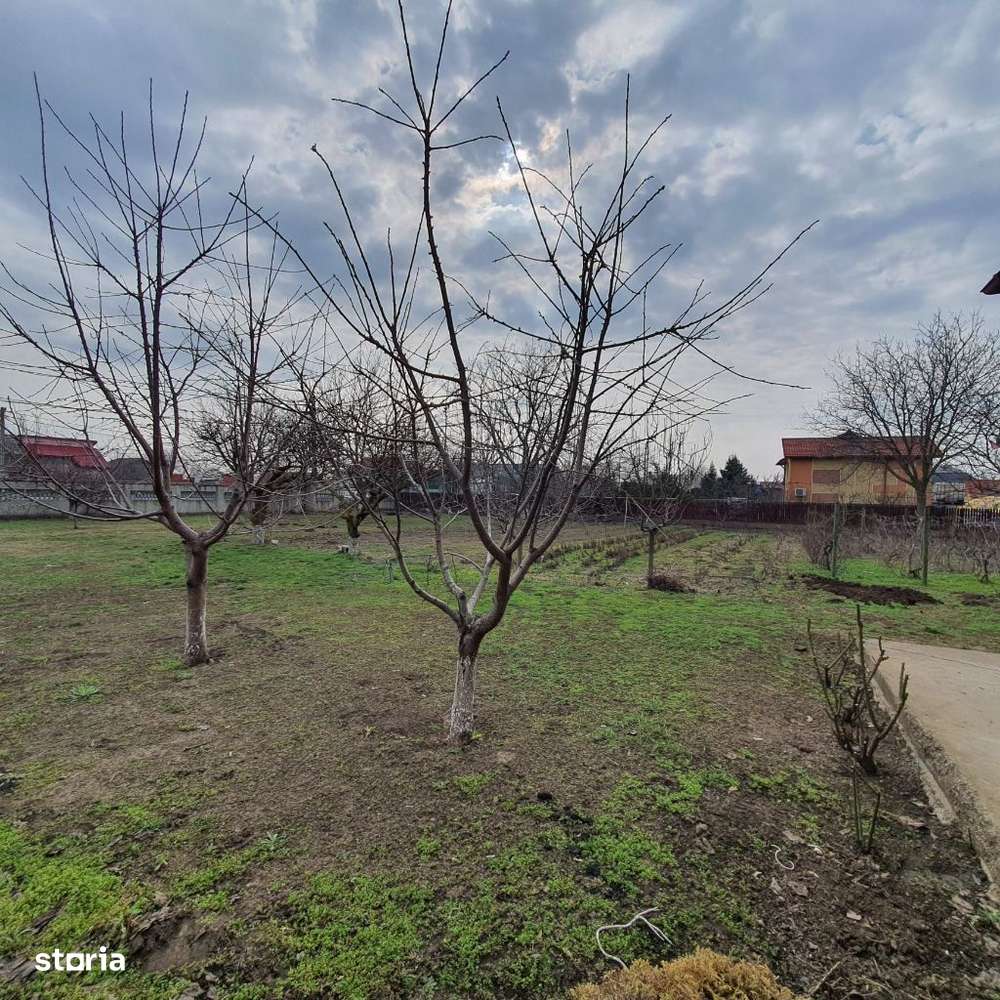 Vila D+P+M la DN26, teren 2589 mp, Vânători - Imagine principală: 5/16