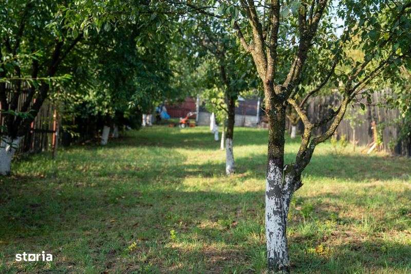 Cabana de Vanzare Vatman, Corunca - Imagine principală: 4/8