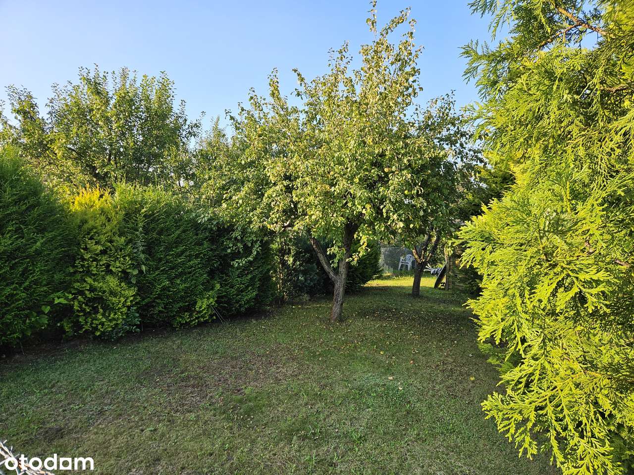 Działka rekreacyjna ROD Obłuże o powierzchni 503 m2 - Pełny obrazek: 4/15