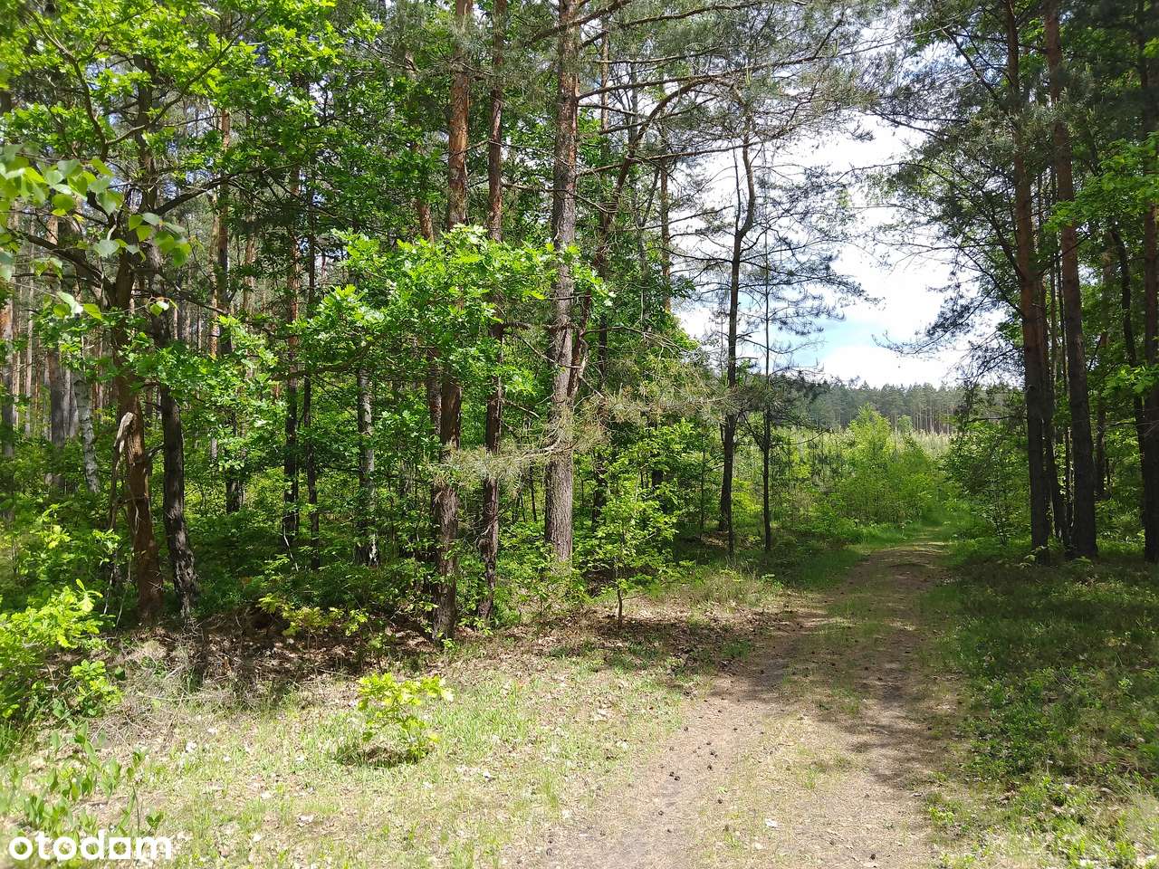 Dom z pięknym widokiem w Żarkach Letnisko - Pełny obrazek: 4/16