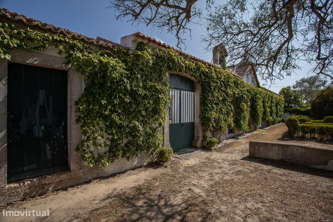 Quinta na freguesia da Trafaria - Grande imagem: 3/60