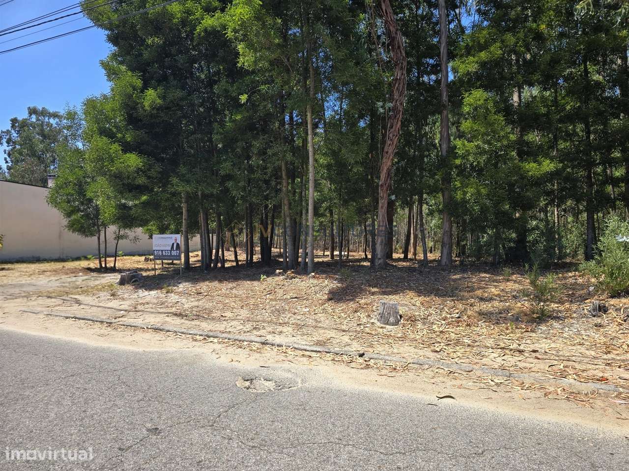 Terreno Para Construção  Venda em Beduído e Veiros,Estarreja-4