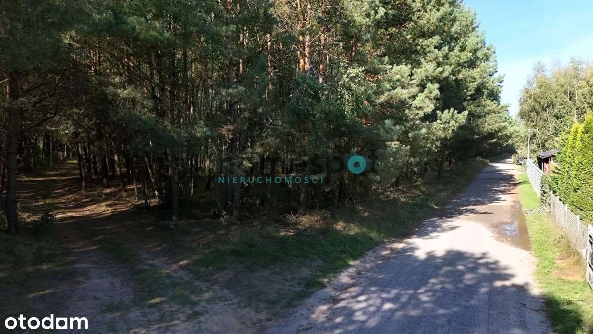 | Działka | Las | Natura | Jezioro | Stęszewko |-3