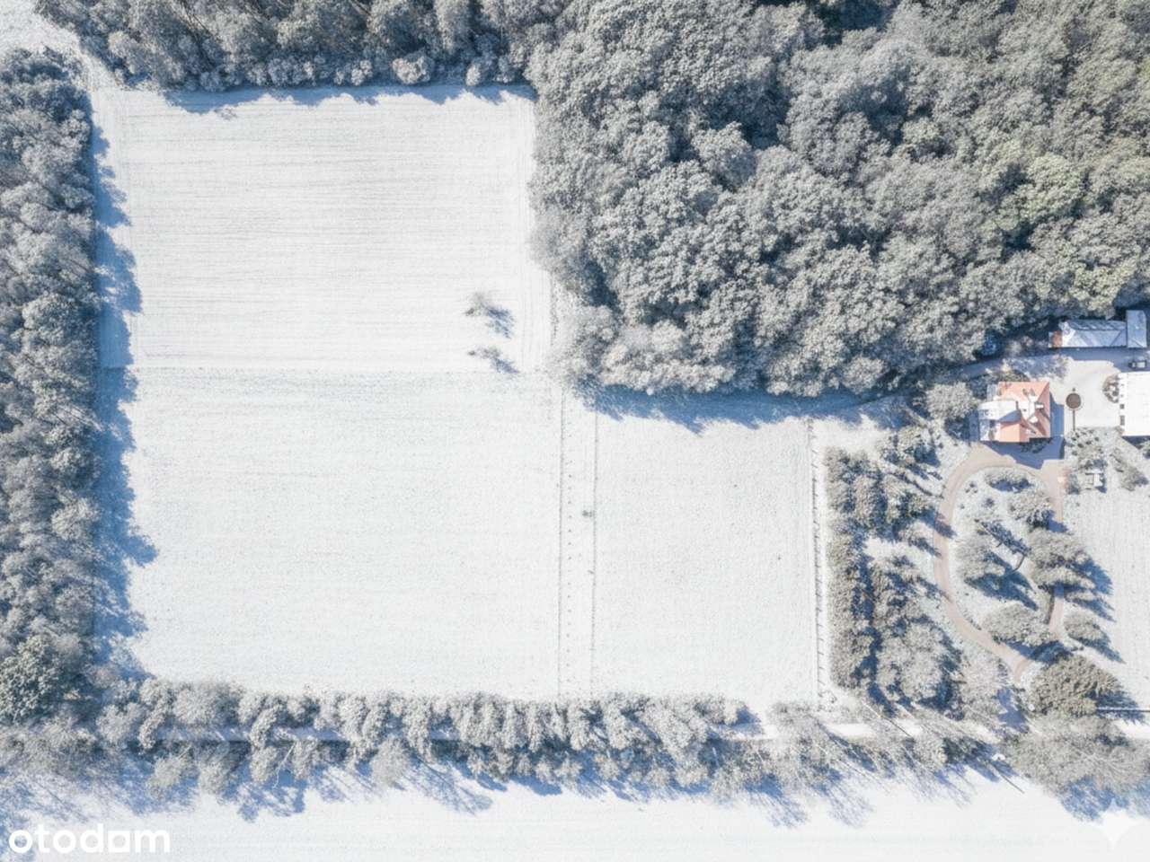 Działka budowlana |  WZ |  ściana lasu | 2500m2 | 25 min od Poznania - Pełny obrazek: 5/9