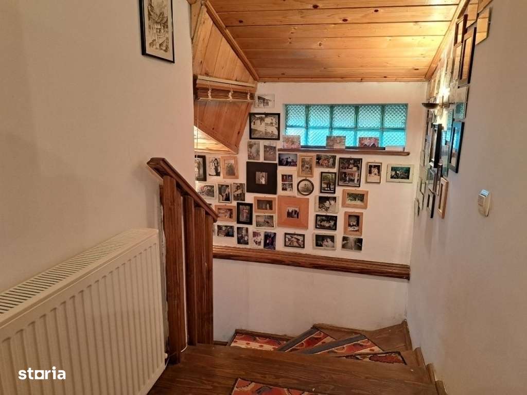 Adunatii Copaceni-12