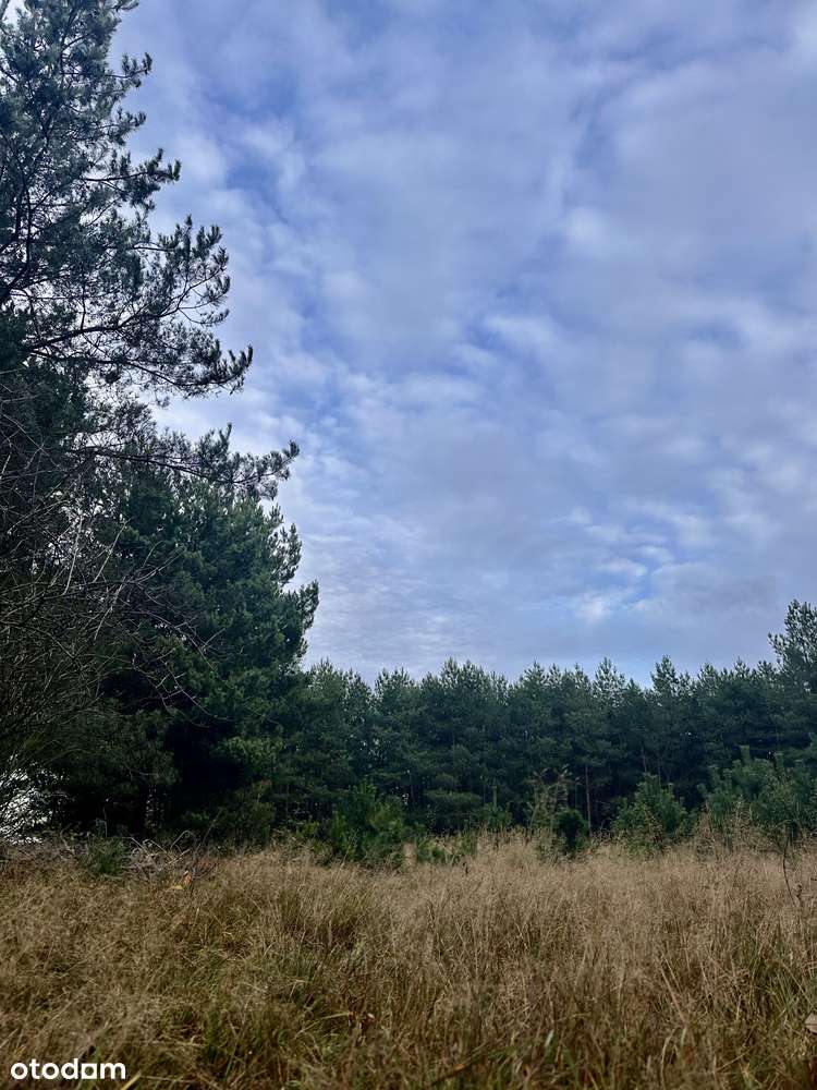 Wyjątkowa działka pod dom w świetnej lokalizacji pod Poznaniem – MPZP - Pełny obrazek: 5/6