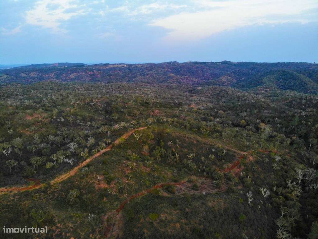 Terreno para Venda com 34 Hectares com Ruina na Serra de Grândola /...-8