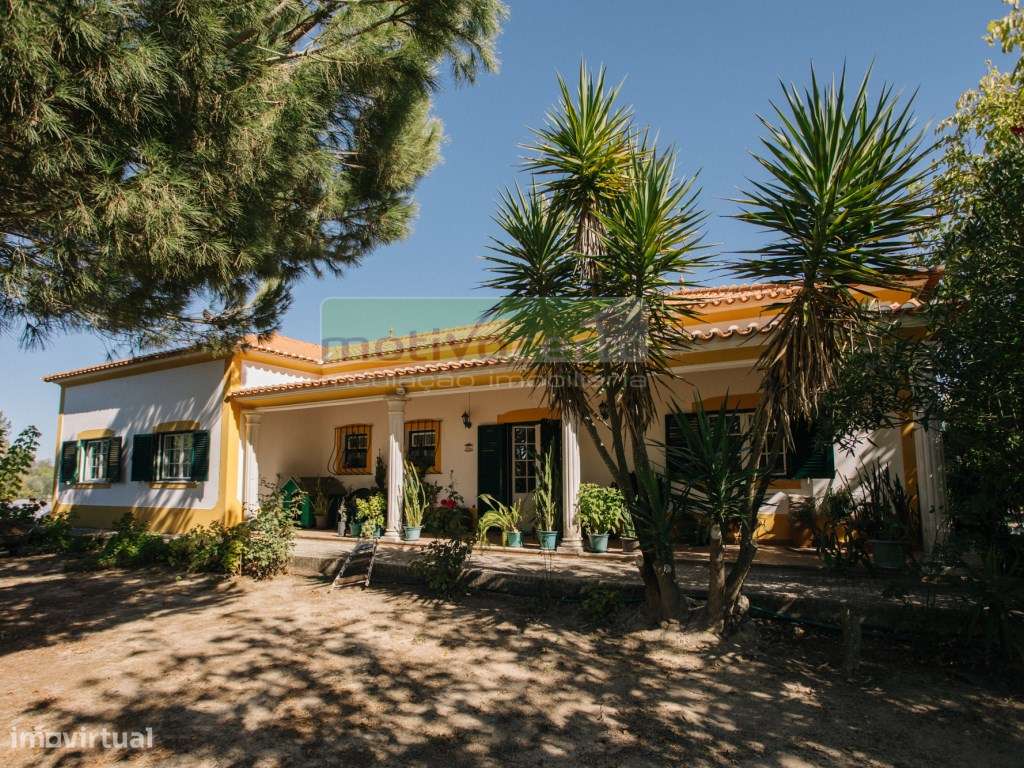 Moradia Térrea T4 em Quinta de 11.250 m² com Árvores de Fruto. Em S... - Grande imagem: 2/50