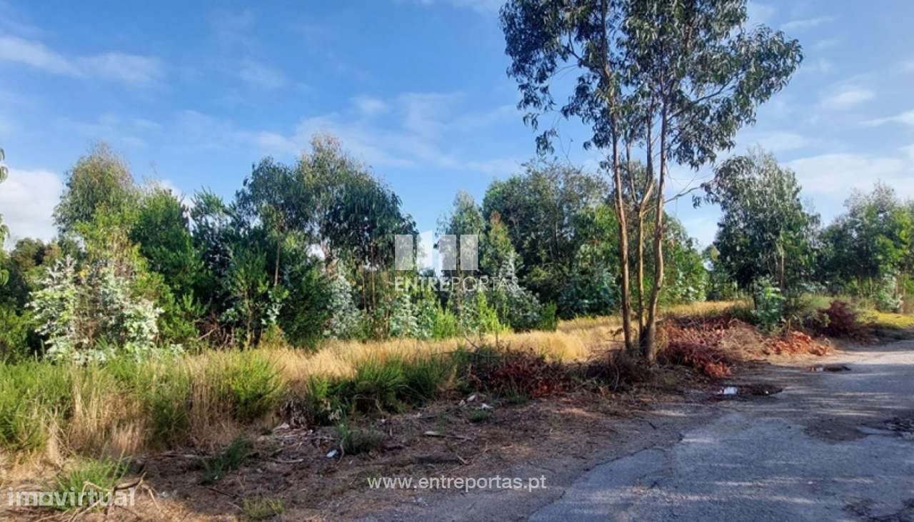 Venda de terreno florestal c/ 12000m², Vila Fria, Viana do Castelo - Grande imagem: 4/30