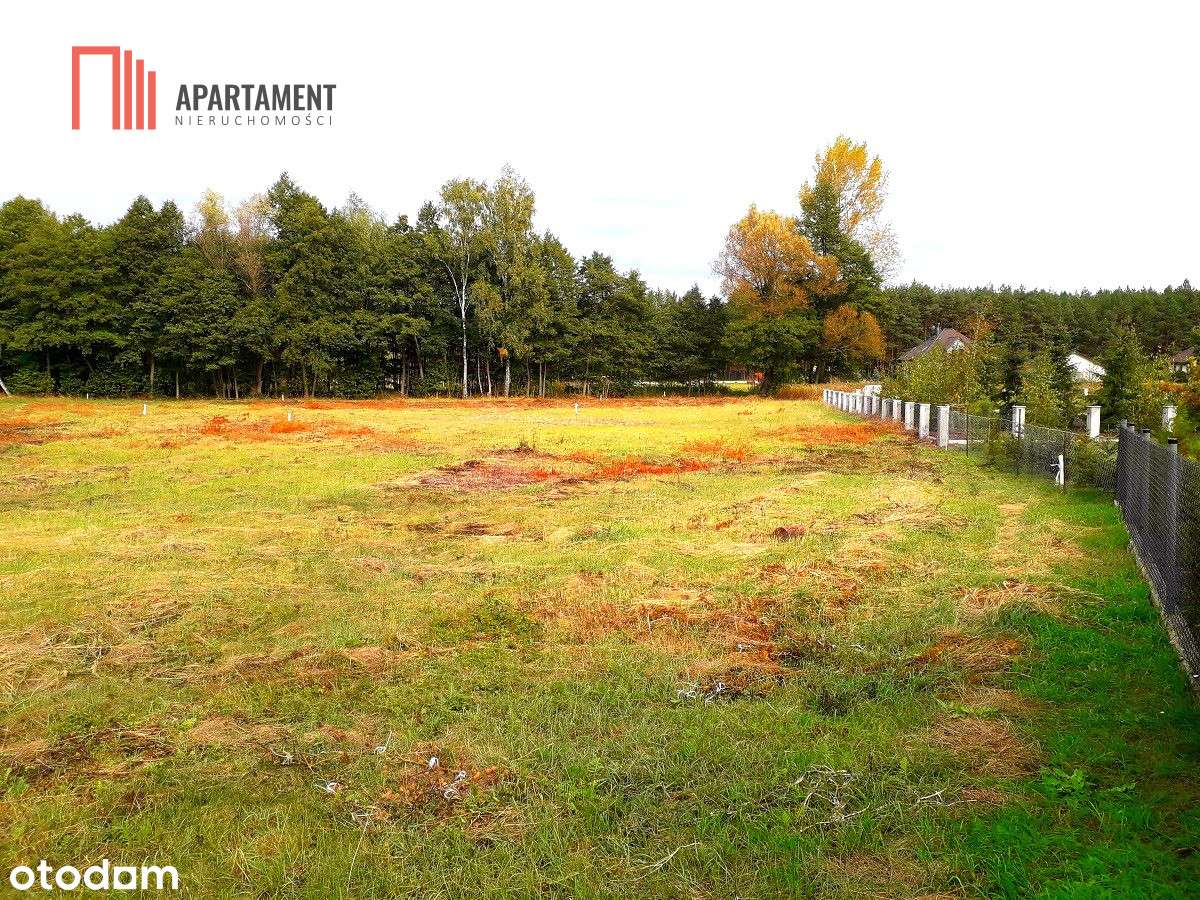 Tylko U Nas !!! Toporzysko 1000 M2 - Las Icisza - Pełny obrazek: 4/12