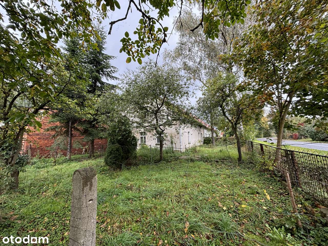 Działka 1500 m² z domem do remontu i bud. gosp. koło Namysłów, Bukowie - Pełny obrazek: 5/8