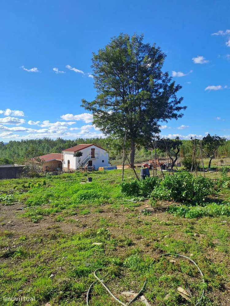 Quinta com 71280 m2  em Palvarinho, Castelo Branco - Grande imagem: 4/27