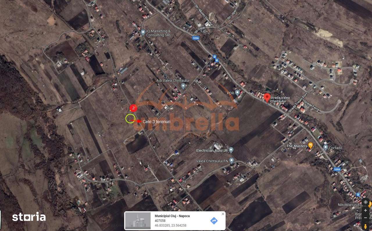 Teren de vanzare Valea Chintaului ! - Imagine principală: 2/5