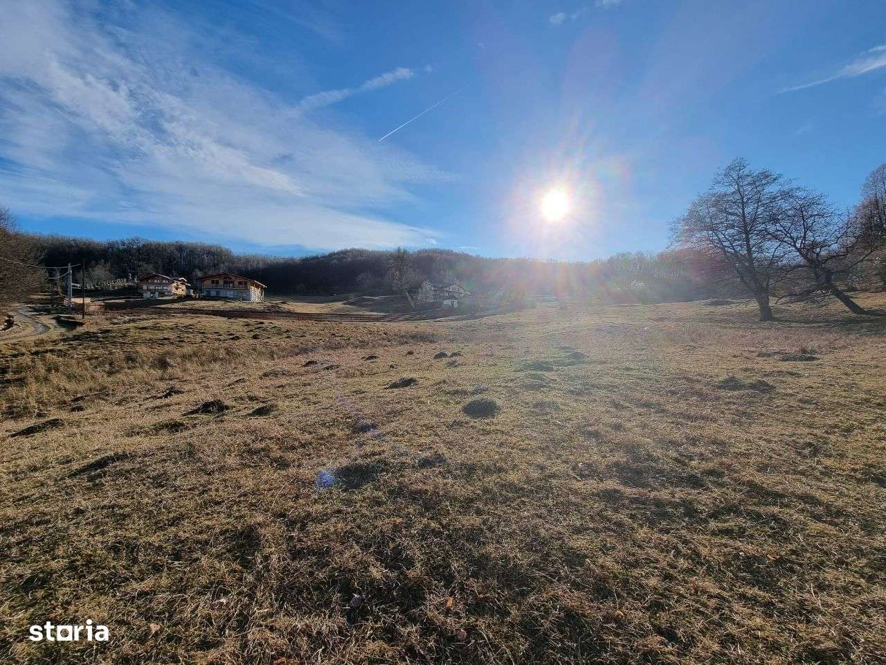 teren de vanzare in zona Poiana Campina - Imagine principală: 4/17