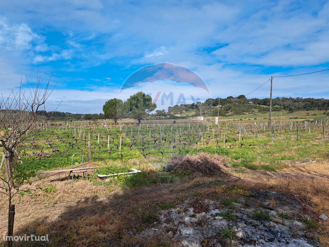 Terreno  para venda