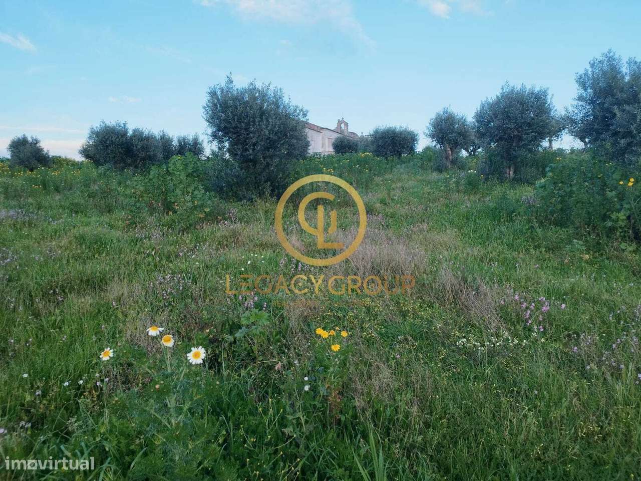 TERRENO DE 46.626m2 EM REDONDO - Grande imagem: 4/50