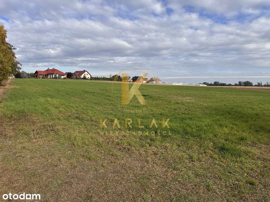 Działki budowlane w Międzychodzie koło Śremu z WZ-9