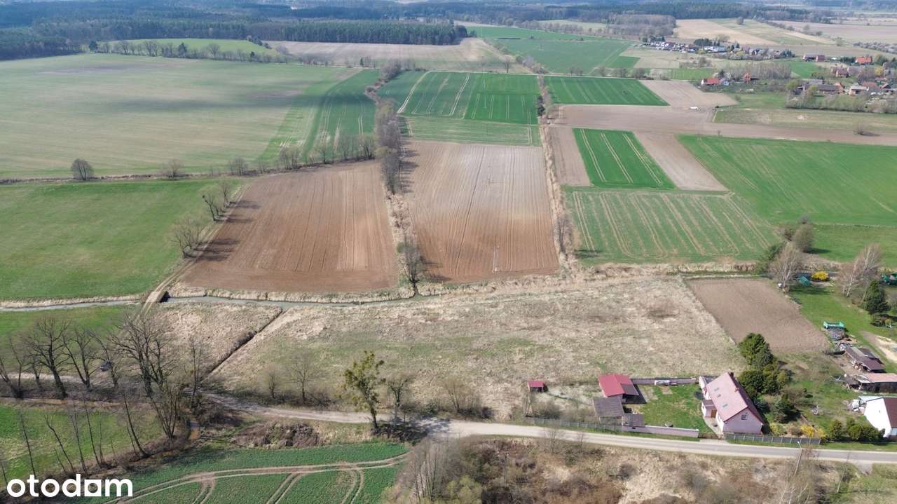 Atrakcyjna działka – 0,93 ha | Czatkowice, blisko Milicza-3